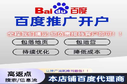 百度推广在电商行业的应用案例分析